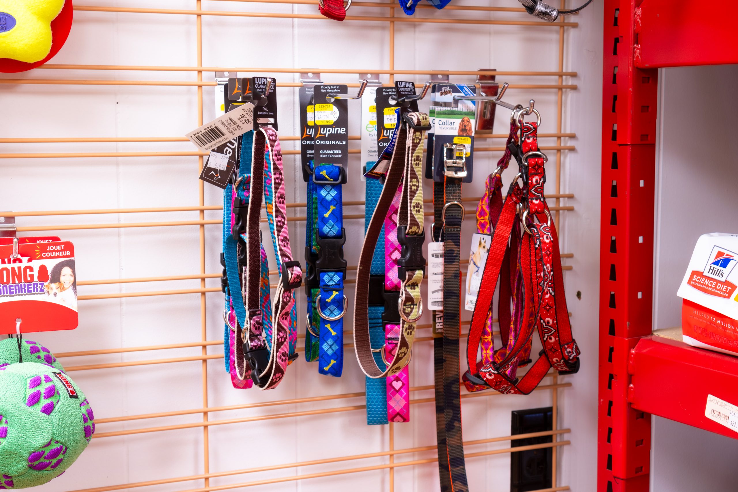 Leashes for sale at Four Star Supply