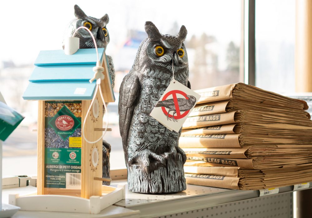 Bird Feeders & Owl Decoys