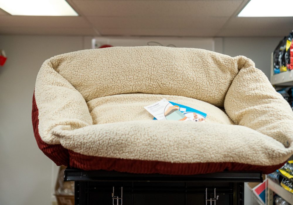 A pet bed for sale at Four Star Supply
