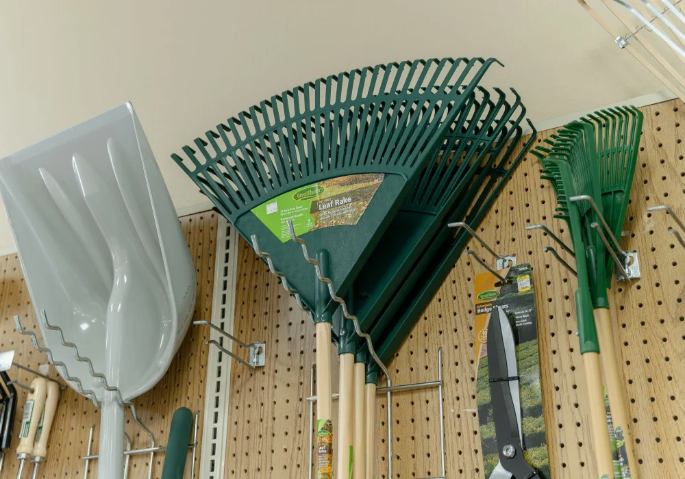 P1045026-web-compressed